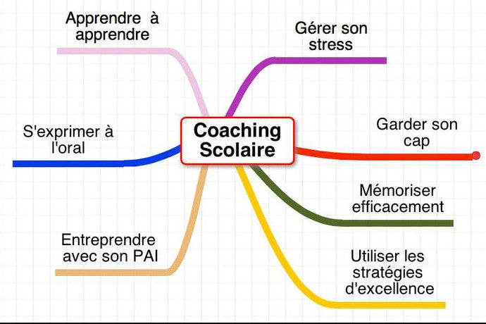Coaching Scolaire : Viser l'excelence